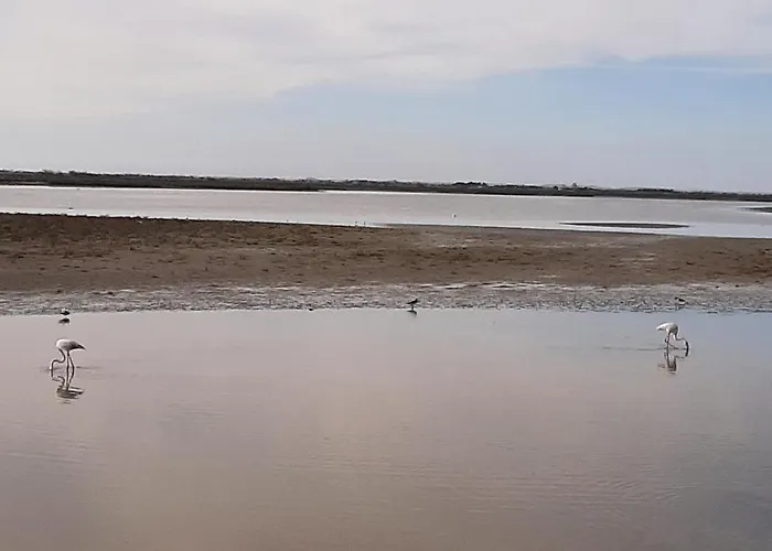 Appartement calme à deux pas de la mer